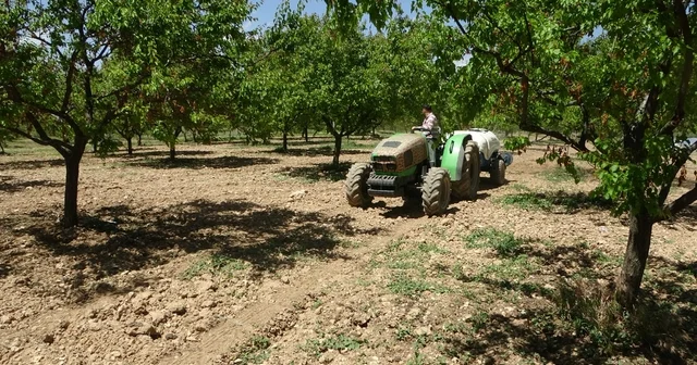 Kayısı üreticilerine manolya hastalığı uyarısı Malatya Haberleri