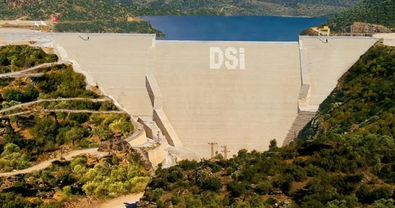 Geçen yıl kuraklık vurmuştu: Şimdi yavaş yavaş toparlanıyor