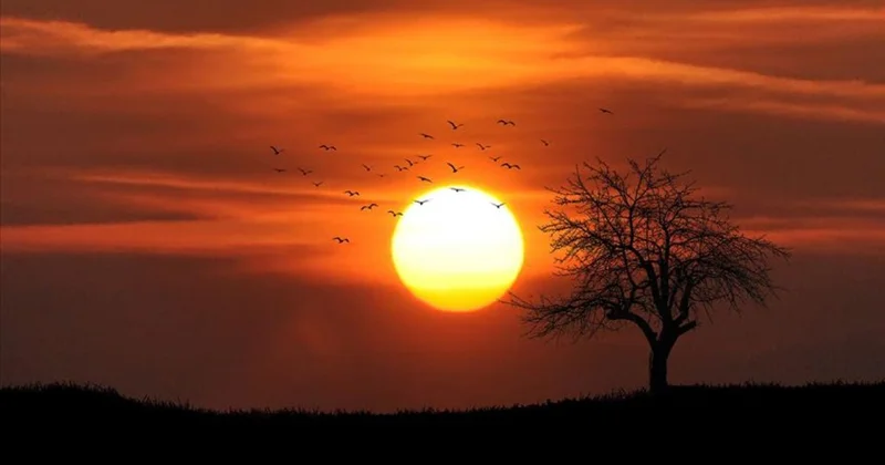 Kayıtlara göre, son 11 yıl tarihin en sıcak yılları oldu