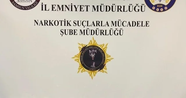 Atakum ve İlkadım da narkotik operasyonu Samsun Haberleri