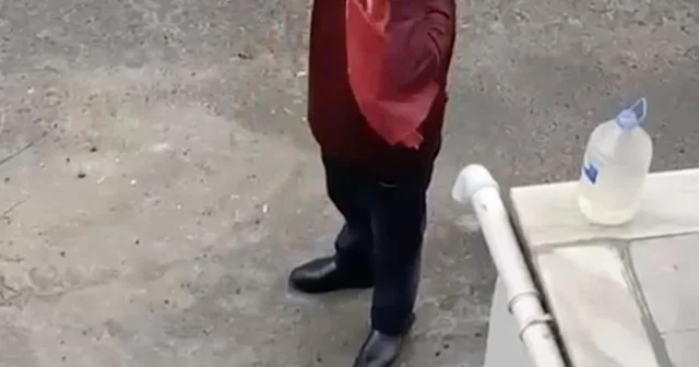 Yerde gördü, öperek yerine astı: İzleyenler duygulandı Tekirdağ Haberleri