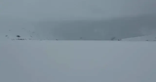 Yüzeyi karla kaplı Balık Gölü görenleri büyüledi VİDEO İZLE