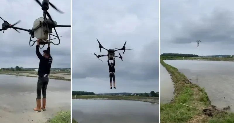 Çeltik tarlasında tehlikeli yolculuk: Drona asılıp uçtu Aktüel Haberleri