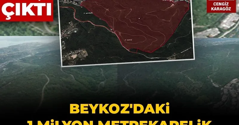 Beykoz daki 1 milyon metrekarelik ormanlık alan imara açıldı: Projenin arkasından İBB itirafçısı çıktı