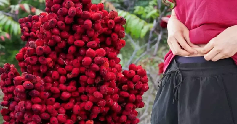 Bu tarif bayram kilolarına savaş açıyor! 2 hafta içinde karın yağlarını yok ediyor