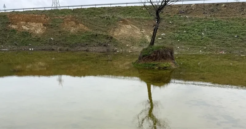 Geçen yıl oltalar ellerinde kalmıştı: Bu yıl gölet canlandı