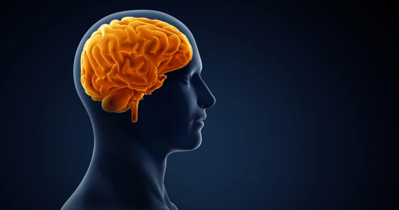 Yaşlılarda kötü ağız sağlığı Alzheimer riskini 4 kat artırıyor Sağlık Haberleri