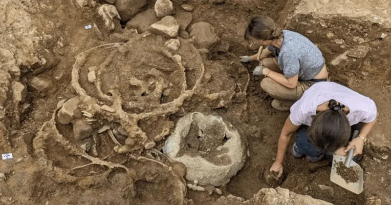 2.000 yıllık define bulundu! Dev hazine gün yüzüne çıktı Sözcü Gazetesi