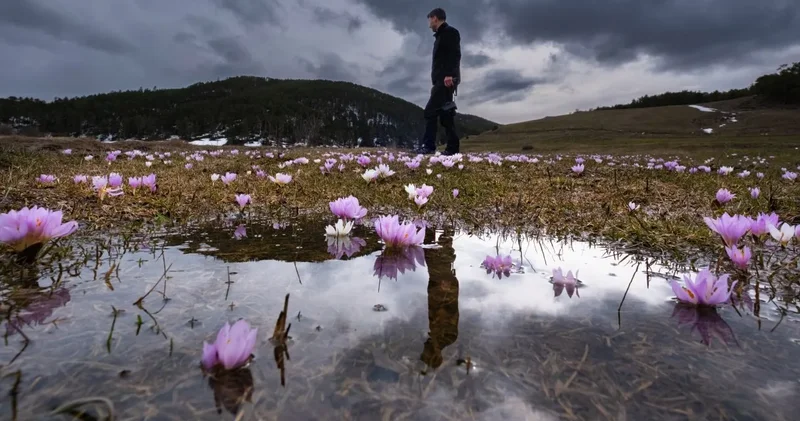 Gören hayran kalıyor: Renkler her yeri sarmış