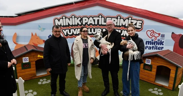 Altıeylül de can dostlar sıcak yuva bekliyor Altıeylül de sahiplendirme seferberliği Balıkesir Haberleri