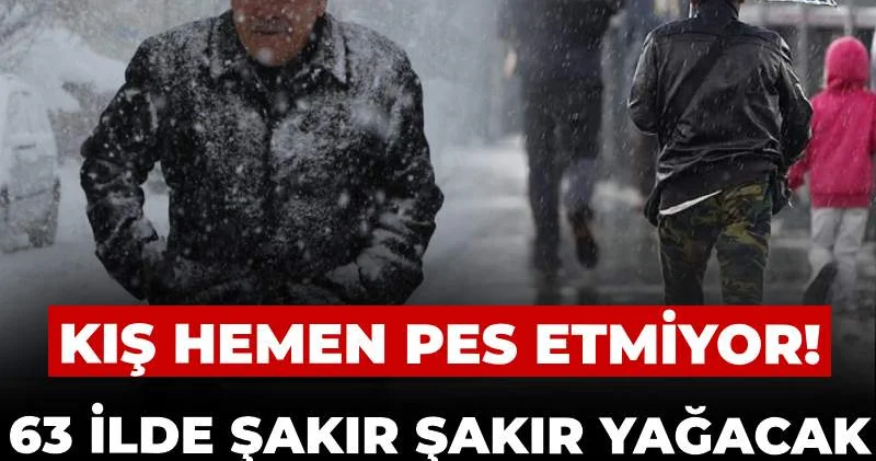 Kış hemen pes etmiyor! 63 ilde şakır şakır yağacak 15 ilde kar bırakacak