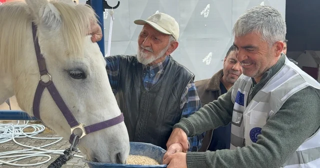 Hippoterapi Uygulama ve Araştırma Merkezi huzurevi sakinlerini ağırladı Ankara Haberleri