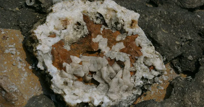 Eline alan suya geri fırlatıyor ama içinden servet çıkıyor Sözcü Gazetesi