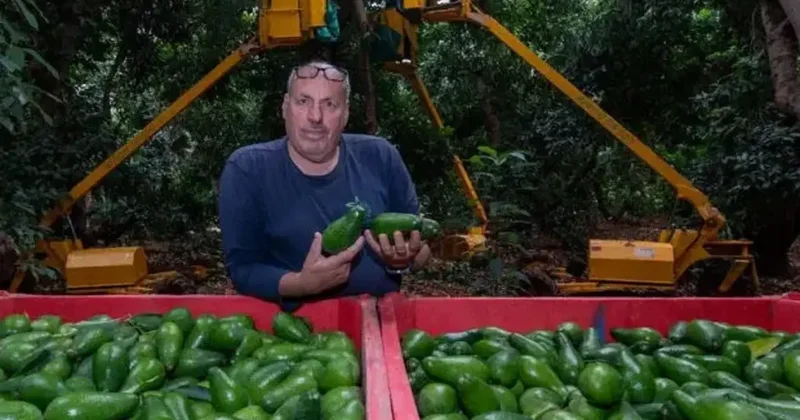 Gasp edilen topraklarda çiftçilik yapıyordu: Aracında yanarak öldü