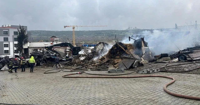 Ahır yangınında çok sayıda hayvan öldü Kocaeli Haberleri