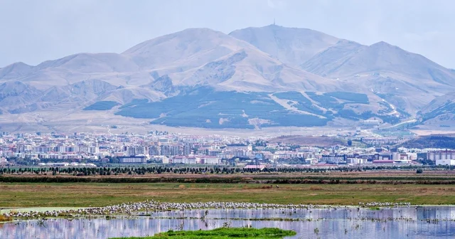 Erzurum ve Bakü petrol hattında 1921 de kritik duraklama Erzurum Haberleri
