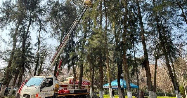 Efeler de Pınarbaşı Mesire Alanı bakıma alındı Aydın Haberleri