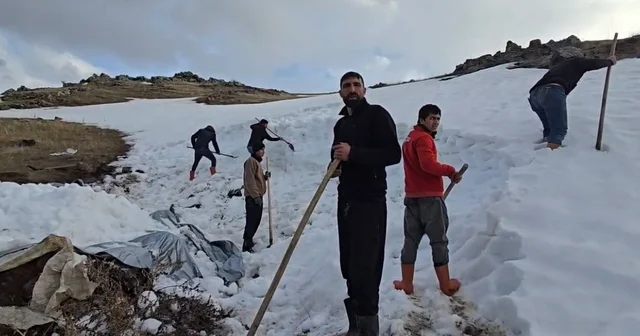 Ağrı Dağı eteklerinde kar depolama mesaisi Iğdır Haberleri