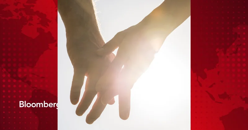 Nasıl özür dilenir?