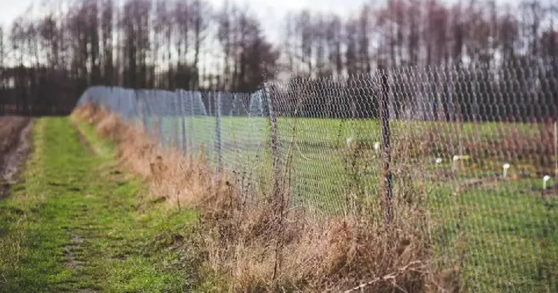 Yüksek çitler resmen yasaklandı: Kapısında olanlar apar topar kaldırıyor Sözcü Gazetesi