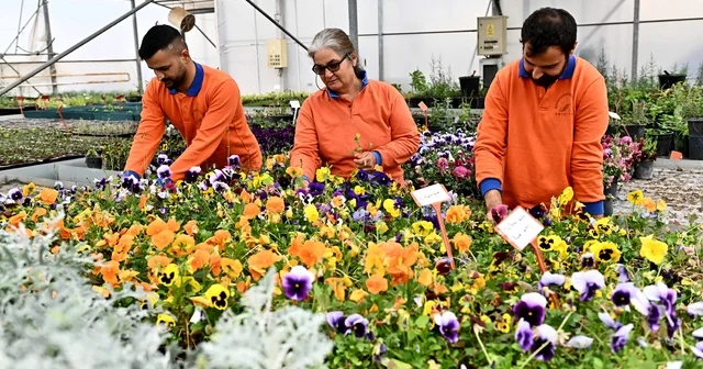 Muratpaşa dan örnek bitki üretim modeli Antalya Haberleri