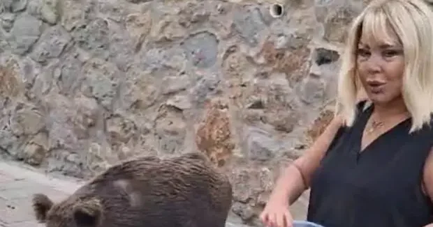 Muğla haberleri Görüntüler Muğla dan: Safiye Solmaz kapısına gelen domuzu besledi 23 Mart 2026