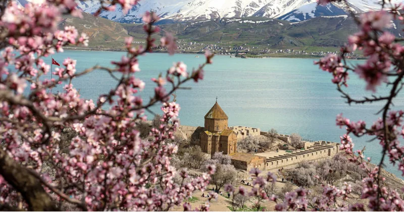 Akdamar Adası badem ağaçlarıyla renklendi