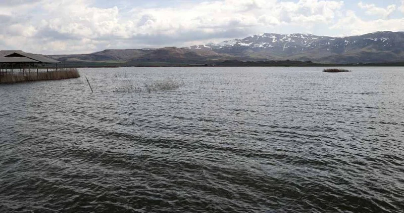 Kuruma noktasına gelmişti: Ulaş Gölü tamamen doldu