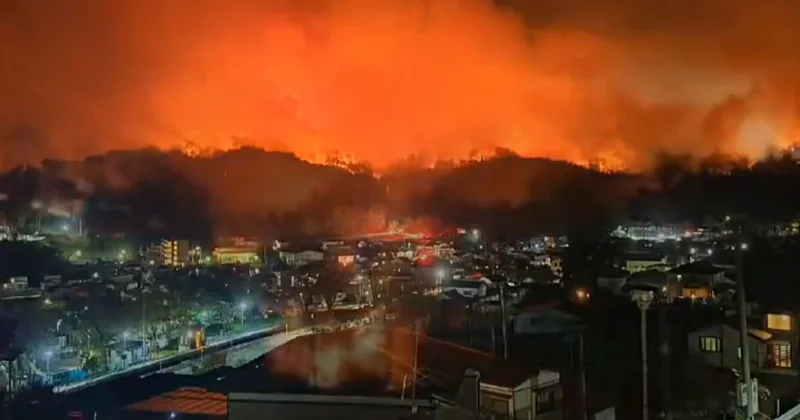 Japonya nın Iwate eyaletinde orman yangını nedeniyle bölge sakinlerine tahliye çağrısı yapıldı