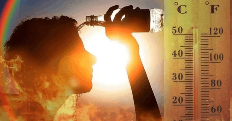 Felaket dünyayı adım adım sarıyor: Yılın 250 günü çalışmak tarih olacak! Sözcü Gazetesi