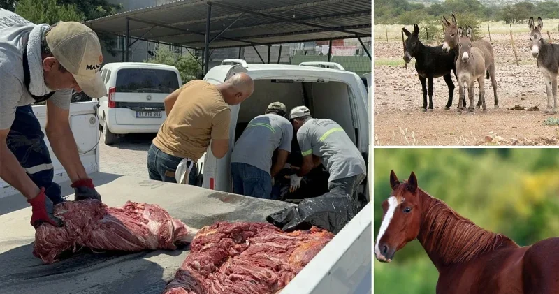 Yine aynı il yine aynı skandal: Vatandaşa at ve eşek eti yedirdiler Aktüel Haberleri