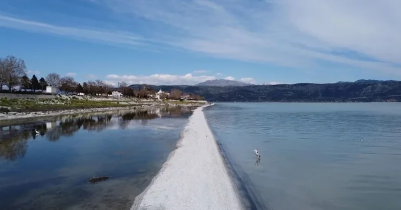 Kendi kendine oluştu: Bakan herkes iş makinesiyle yapıldı sanıyor Sözcü Gazetesi
