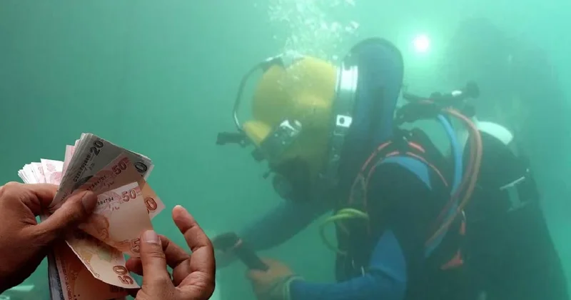 Türkiye de aylık 2 milyon lira maaşla çalışacak kimseyi bulamıyorlar: Servet değerinde ama yapan yok Sözcü Gazetesi