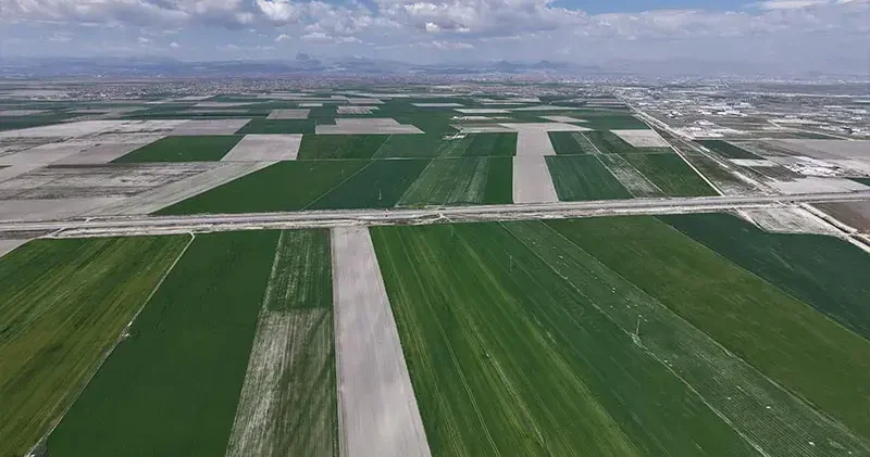 Konya Ovası nda yağışlarla hububatta 500 bin ton rekolte artışı bekleniyor