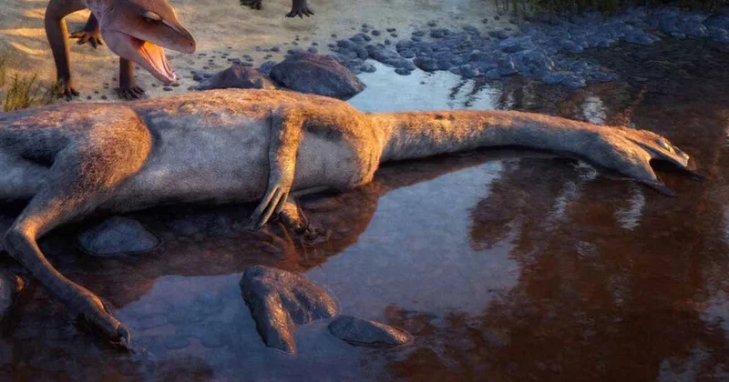 Tam 76 yıl bekledikten sonra tuhaf bir yaratık ortaya çıktı Sözcü Gazetesi