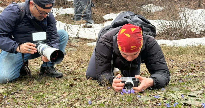 Kartepe de yetişiyor! Görüntülemek için geldiler