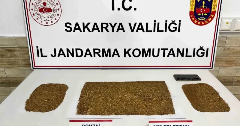 4 ilçede zehir taciri operasyonu: 6 tutuklama Sakarya Haberleri