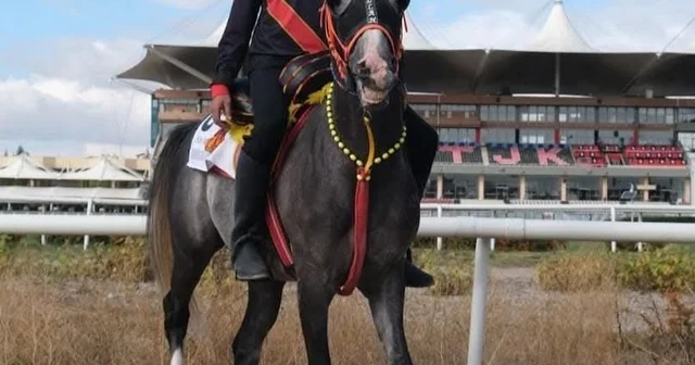 Karcıoğlu: Atlı ciritte asıl zafer, rakibini düşürmek değil; onu affedebilecek yüce gönlü gösterebilmektir Erzurum Haberleri