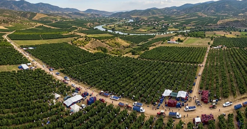 Market raflarında paketi 85 lira: Hücreleri yenileyen mucize Sözcü Gazetesi