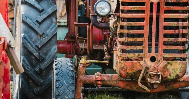 Bahçede çapa yaparken feci şekilde can verdi Sözcü Gazetesi