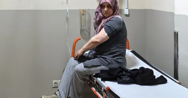 Akrep sokan kadın hastanelik oldu Bursa Haberleri