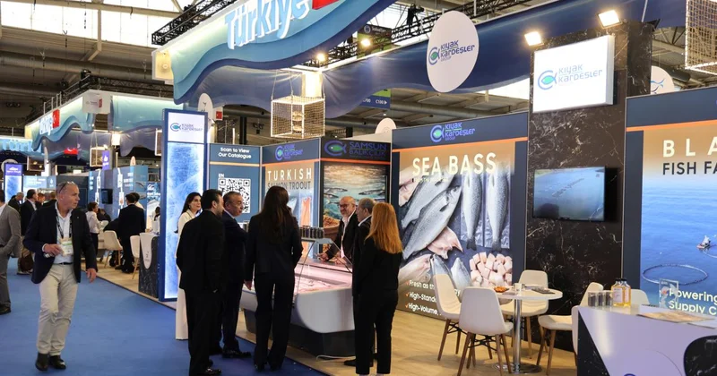 İhracatın yükselen yıldızı: Türk su ürünleri