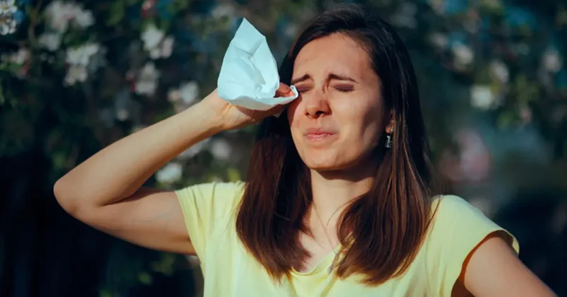 Bahar aylarında en sık görülen rahatsızlık: Polen alerjisi!