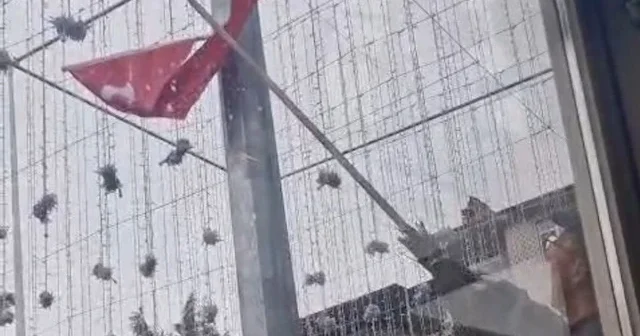 Temizlik işçisinin bayrak duyarlılığı VİDEO İZLE