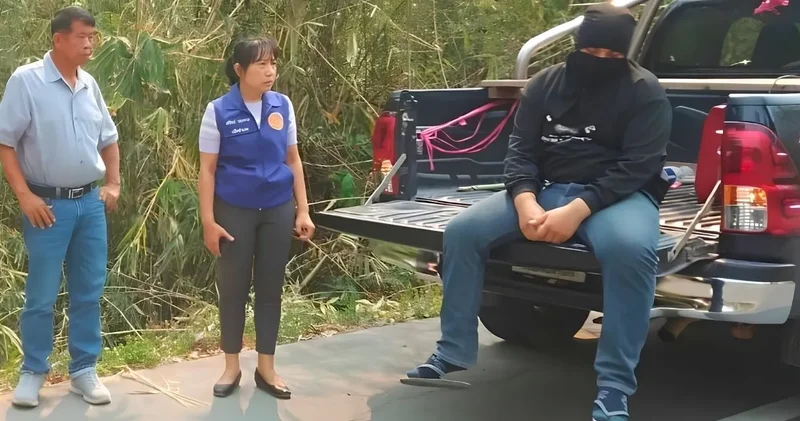 İtfaiyecileri izlemek için ormanı yaktı: Yapacak bir şeyim yoktu dedi