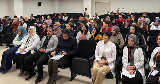 Sağlık çalışanlarına sıtma konulu bilgilendirme Erzincan Haberleri