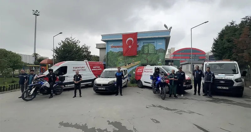 İstanbul da kurban yakalama timleri göreve hazır