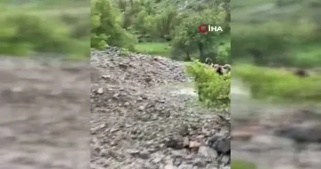 Tunceli de ayağını burkan vatandaşı jandarma sırtında taşıdı