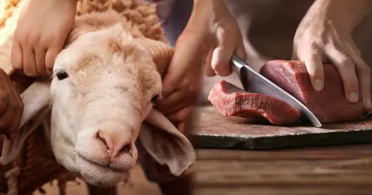 Uzman isimden uyarı: Kurban keserken bel ve kas yaralanmalarına dikkat!