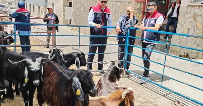 Bozdoğan’da kurban satış yerleri denetlendi